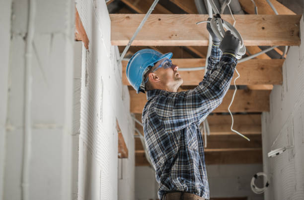 Best Local Electrician Companies  in Perry, LA